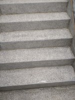 /album/fotos-de-novos-trabalhos/img-20200314-162916-jpg/